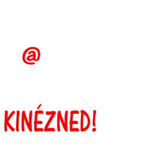 Minél sz@rabbul mennek a dolgaid, annál jobban kell kinézned!