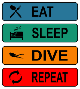 Eat, sleep, dive, repeat-színes